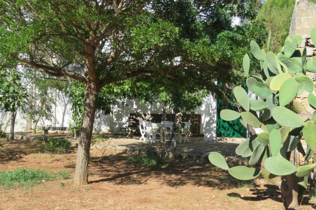 Casa Colonica Villa กัลลีโปลี ภายนอก รูปภาพ