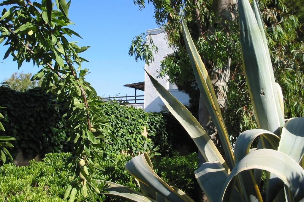 Casa Colonica Villa กัลลีโปลี ภายนอก รูปภาพ