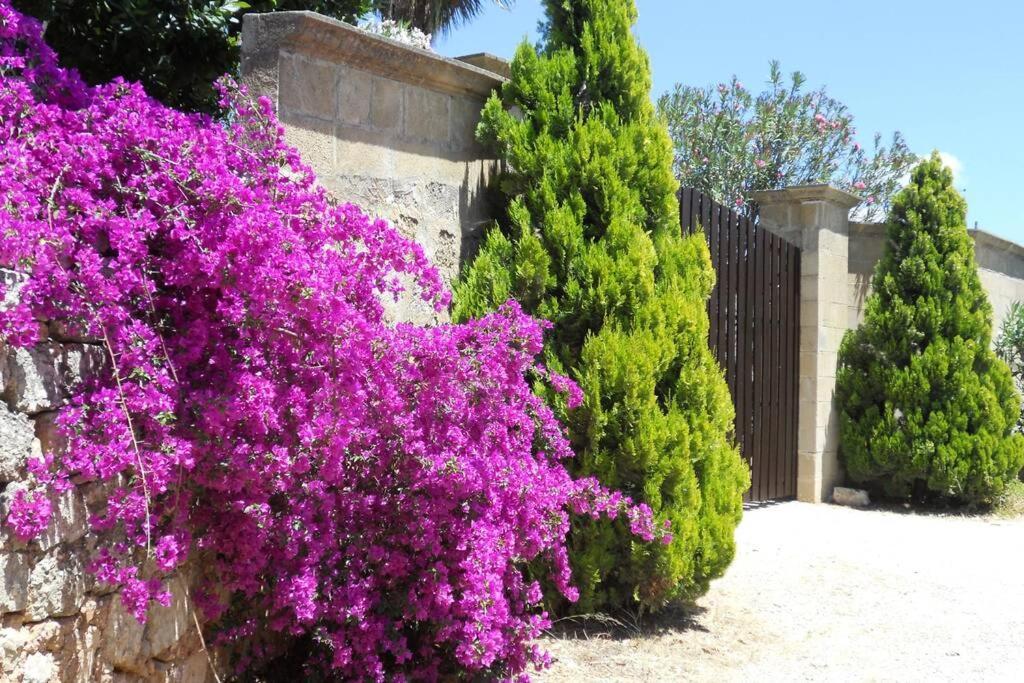 Casa Colonica Villa กัลลีโปลี ภายนอก รูปภาพ